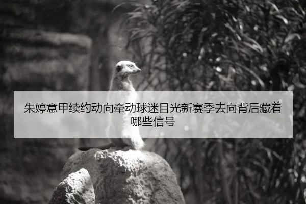 朱婷意甲续约动向牵动球迷目光新赛季去向背后藏着哪些信号